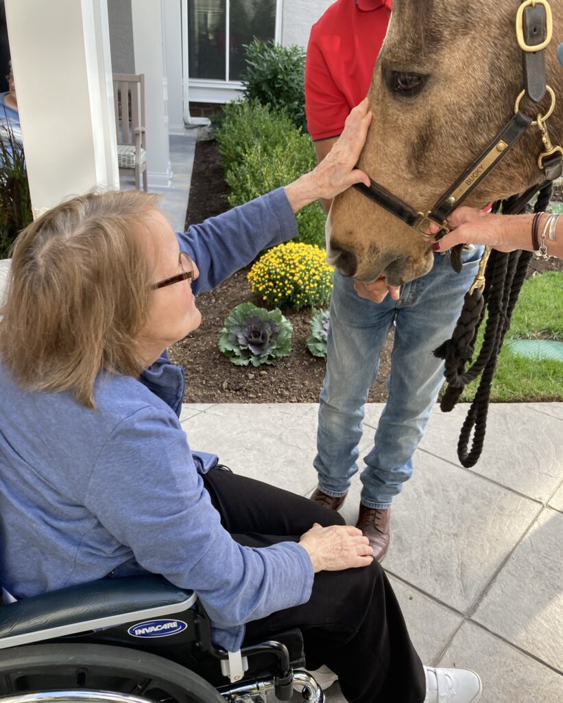 resident petting horse